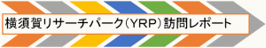 yrp01